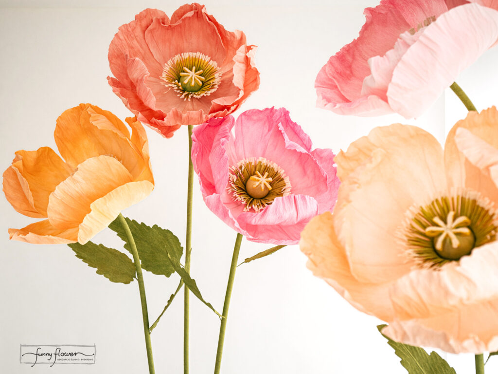 Kwiaty giganty na wynajem – dekoracje eventowe i weselne Funny Flower